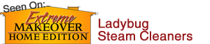 Extreme Makeover Ladybug Steam Cleaners