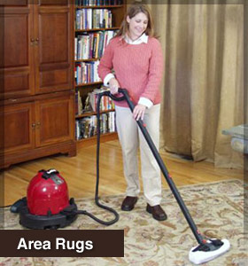 Clean your area rugs with the ladybug steam cleaner.